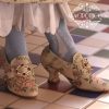 hebillas_zapatos